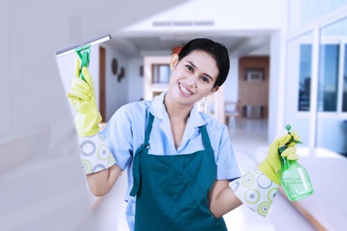 Eco-friendly carpet cleaning in a residential room